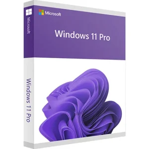 Buy Windows 11 Pro